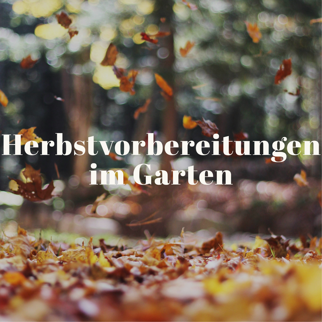 Herbstvorbereitungen im Garten